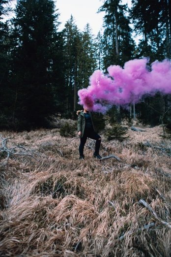 a man standing in a field near a forest with pink smoke