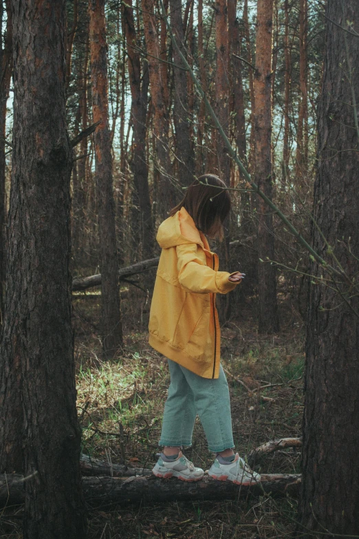 a  walking through a forest with lots of trees