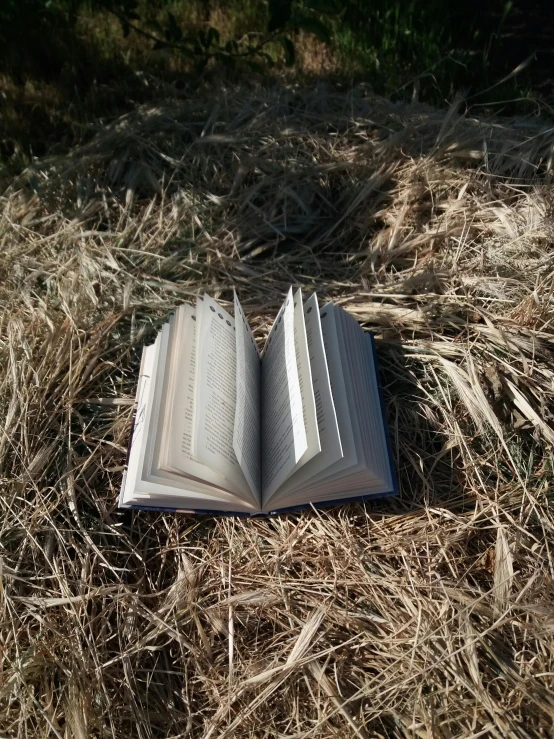 an open book laying on the ground in dry grass