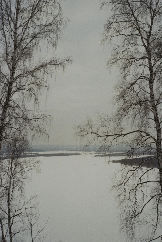 a very empty lake surrounded by snow covered trees