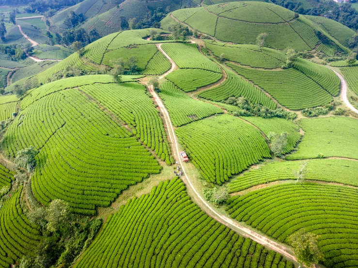 a truck is driving along a dirt road through a lush green landscape