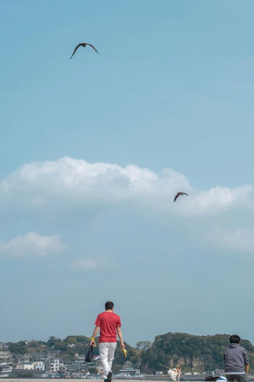 some birds in the sky and a person with bags