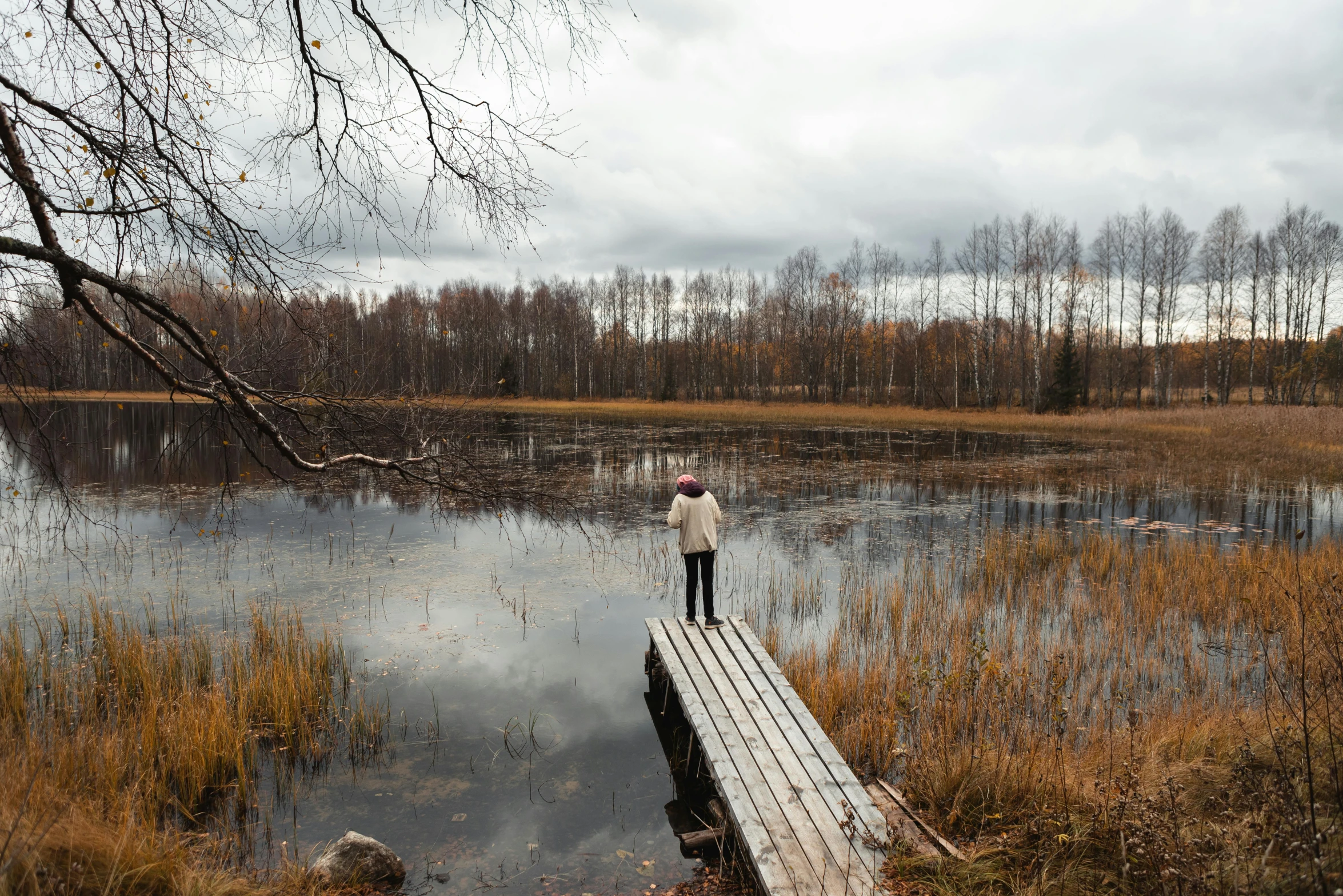 a person standing on a small wooden boardwalk over a lake