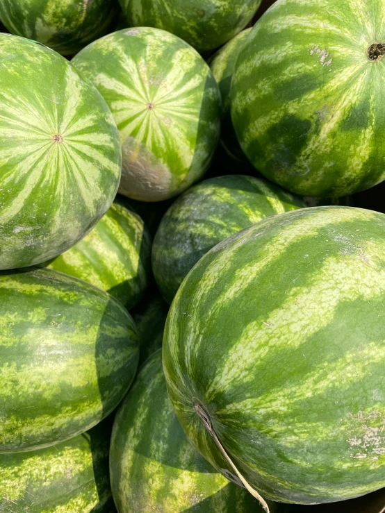 a crate of large watermelons sitting on display