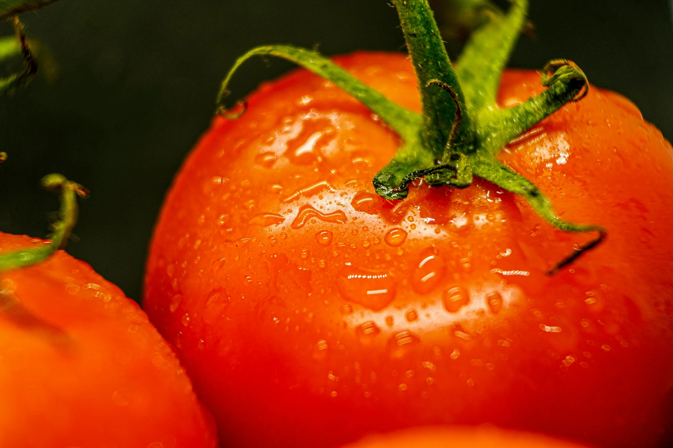 tomatoes still have many things left on them