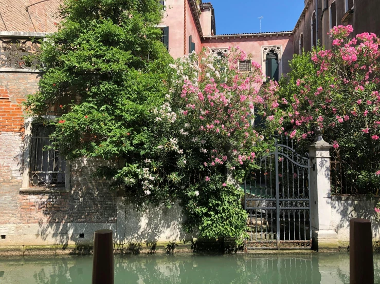 trees and bushes around an outdoor waterway by a building