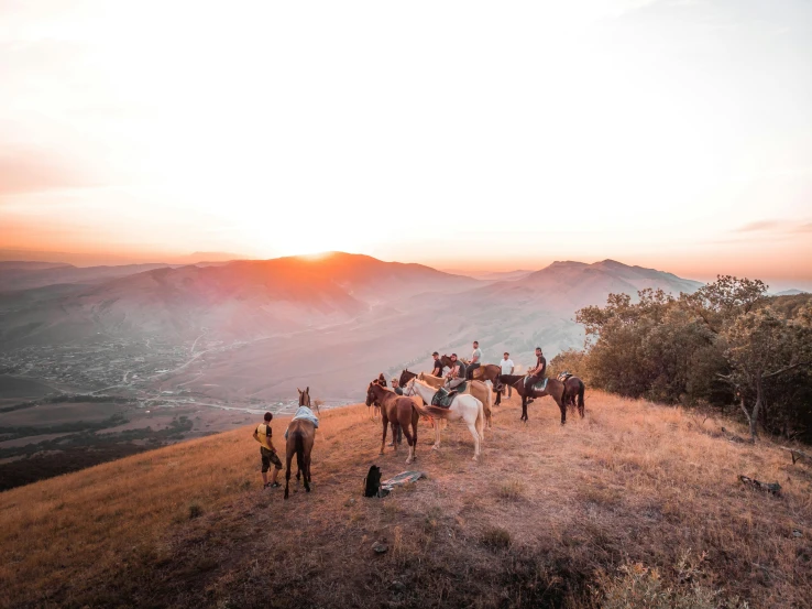 many horses and riders are walking up a grassy hill