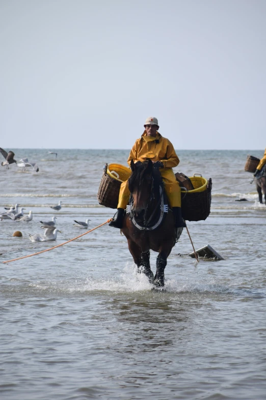 a man is riding a horse with a dog