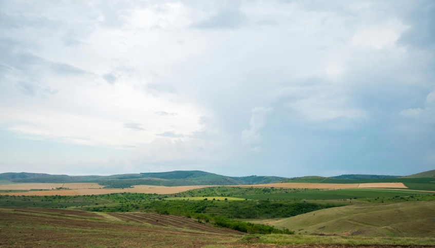 a green pasture filled with lots of brown trees and hills