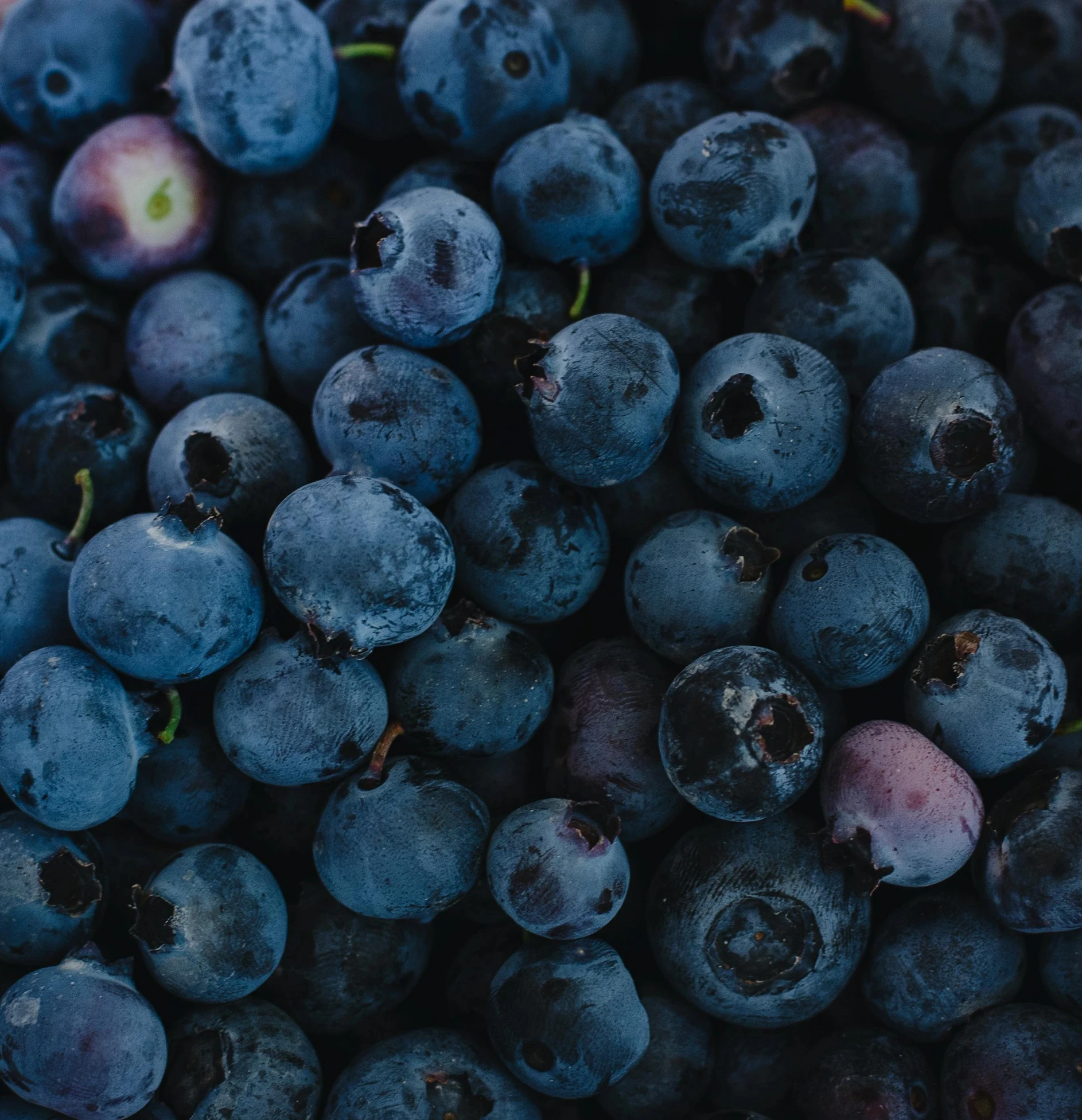 blueberries are piled up and ready to be eaten