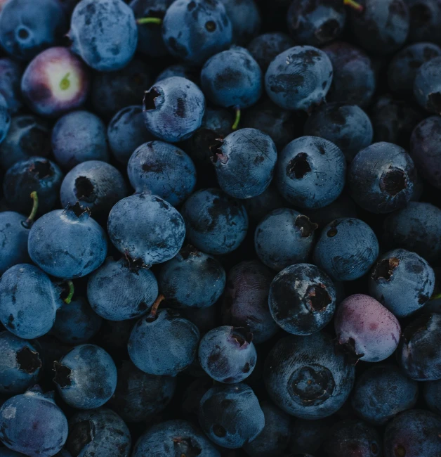 blueberries are piled up and ready to be eaten