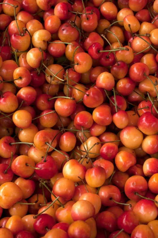 a pile of lots of fruit on top of each other