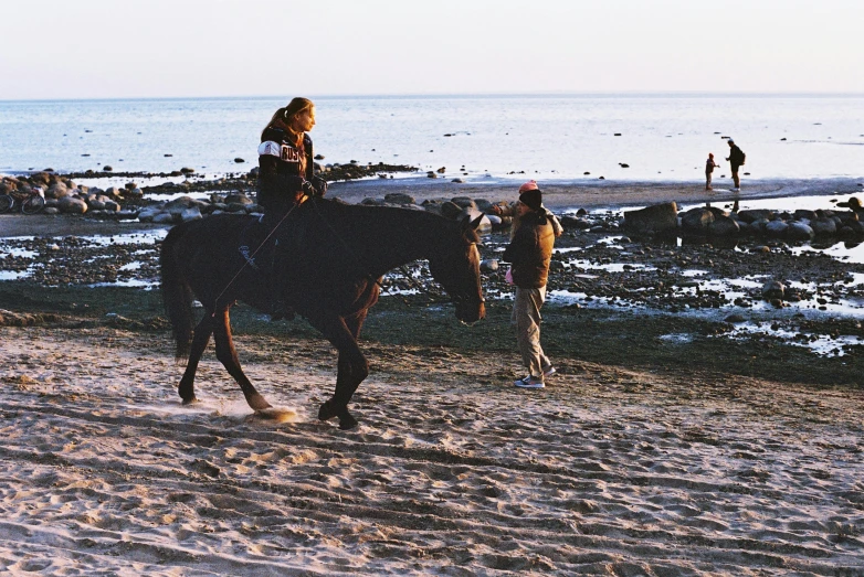 a  riding on the back of a brown horse