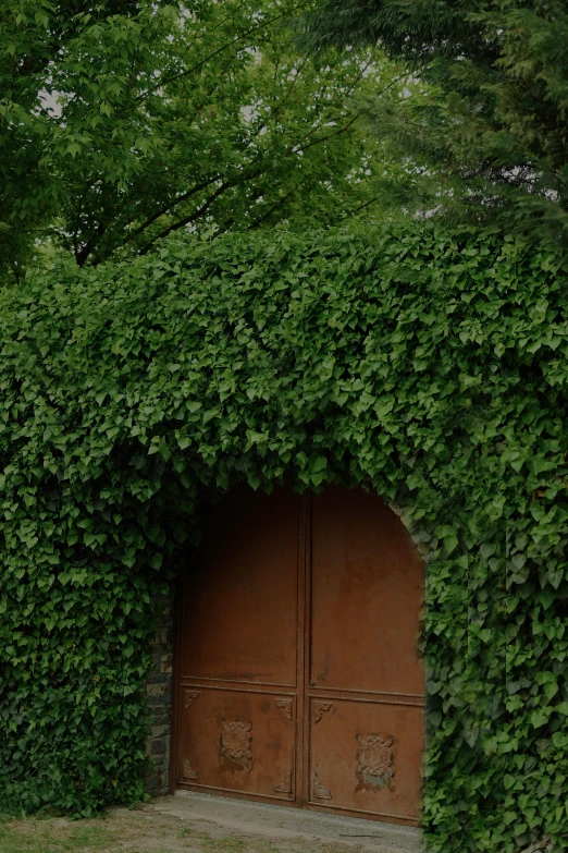 a couple of brown doors in the center of some trees