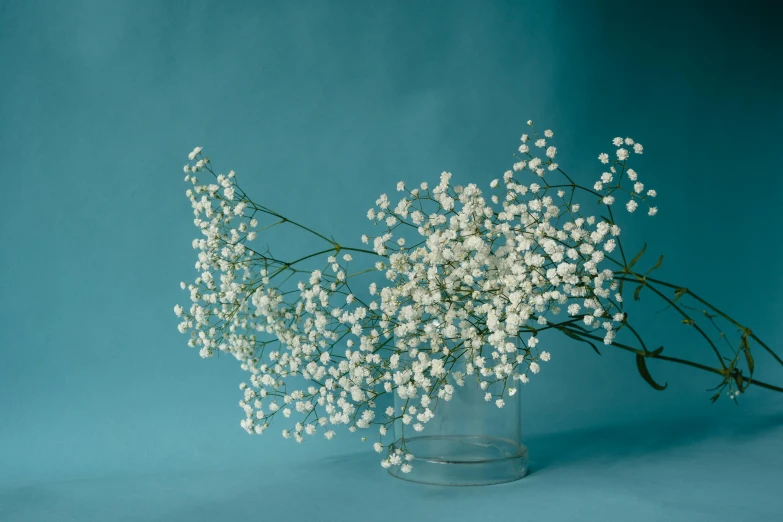small white flowers placed in a vase on the table