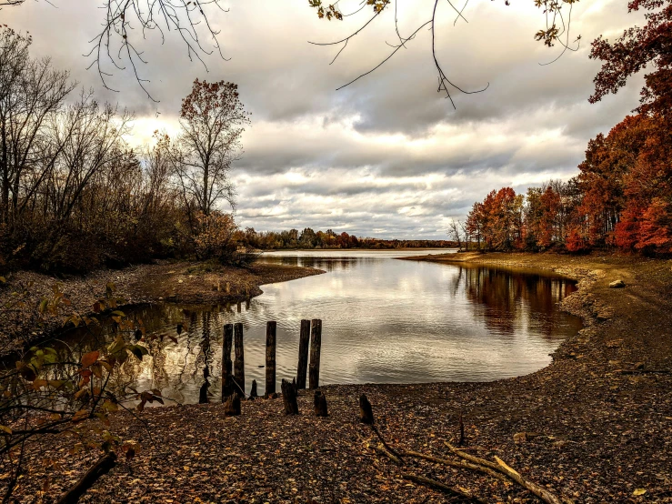 a river surrounded by trees with a bunch of leaves