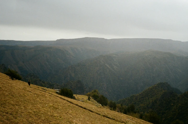 the person walks on the edge of a grassy field toward a mountain range