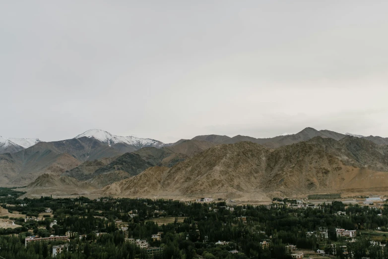 mountains and trees under a cloudy sky in the desert