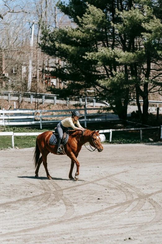 a man that is riding a brown horse in the dirt