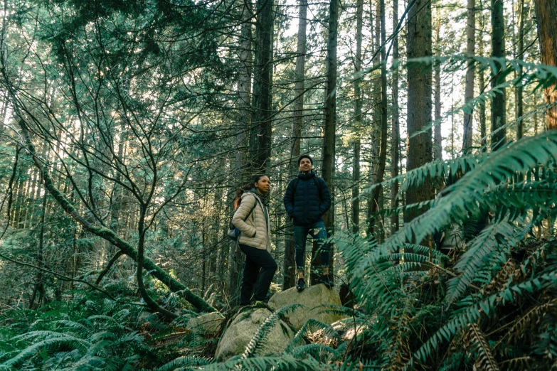 two people in the forest stand on a rock near trees