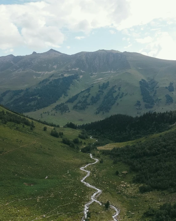 an open valley surrounded by mountains and trees