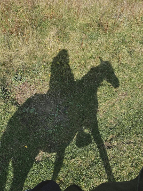 a horse running and some people on the grass