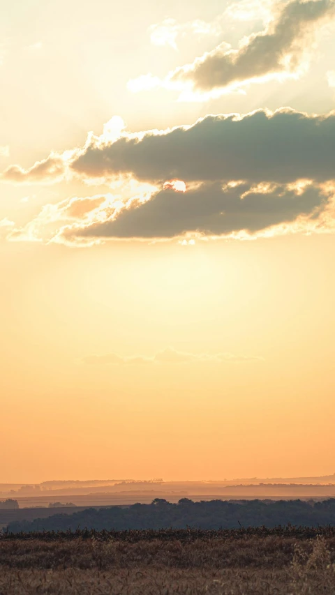 two giraffes are walking on an open plains at sunset