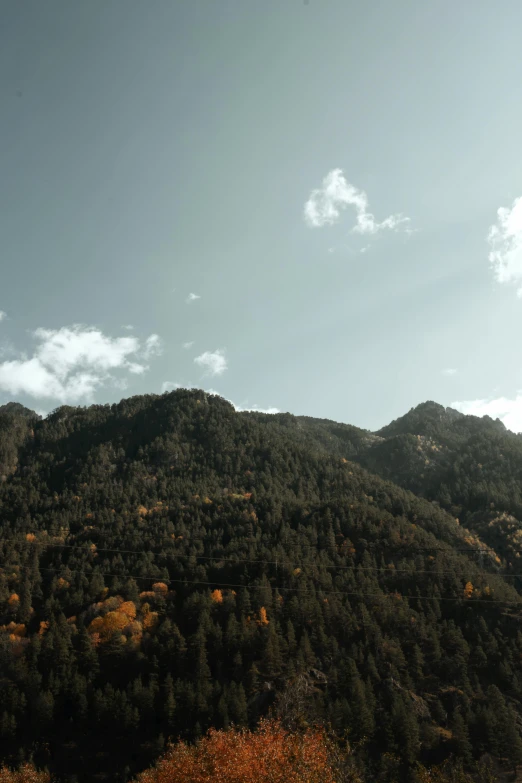 view of hills from the top of a hill with trees on it