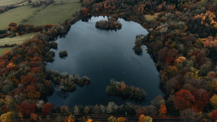 an aerial view of a lake surrounded by forest