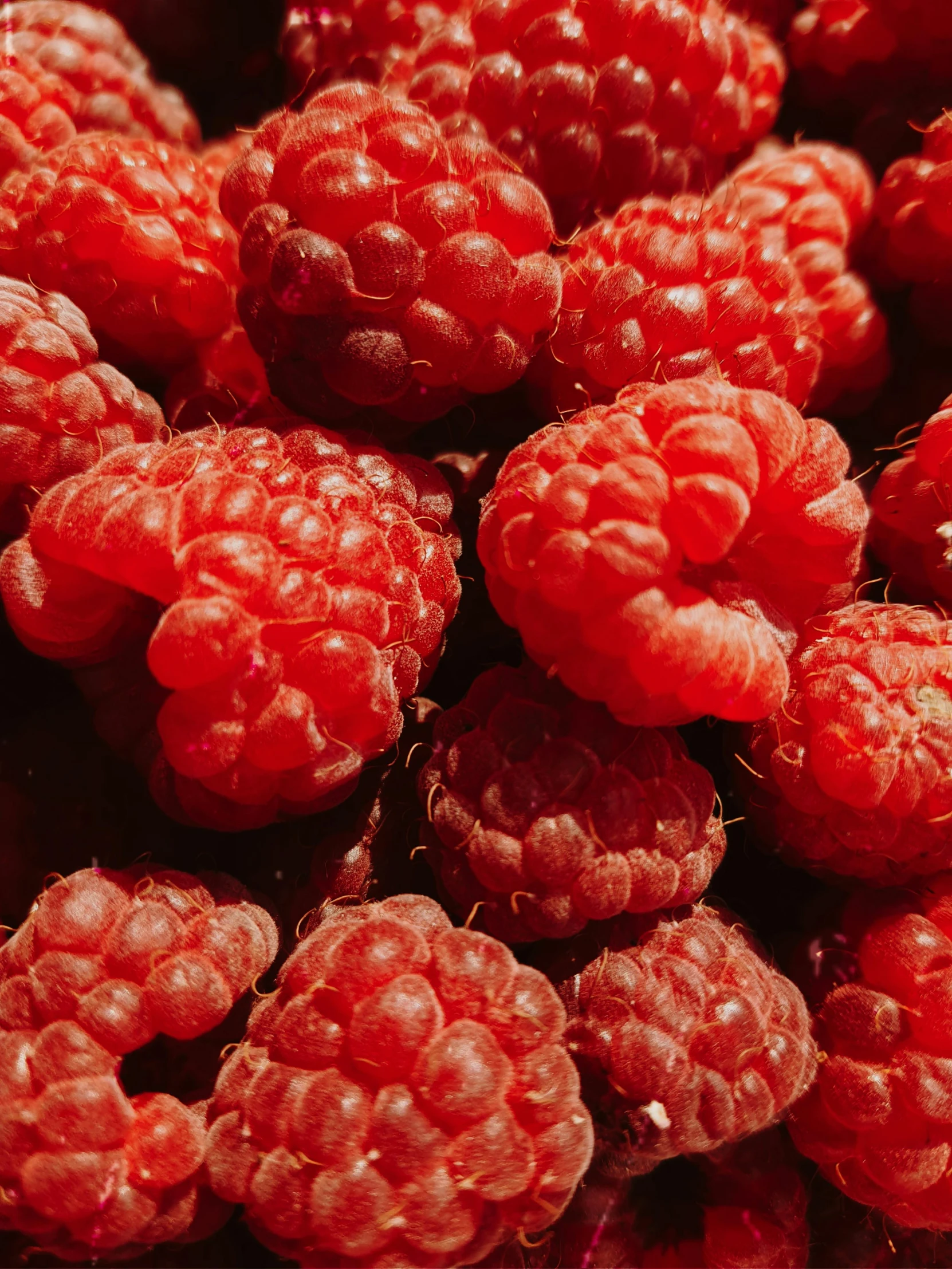 there are very many raspberries still on the fruit