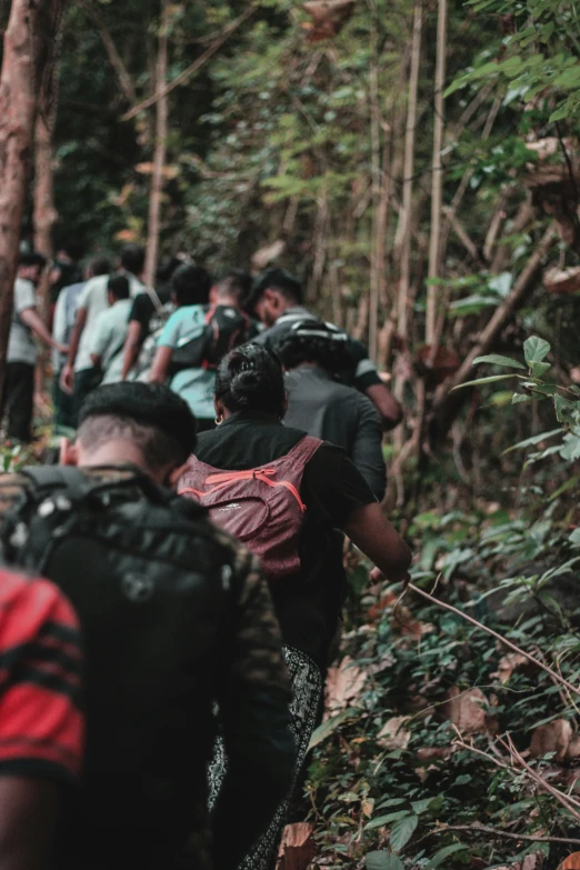 several people walking through the woods while backpacking