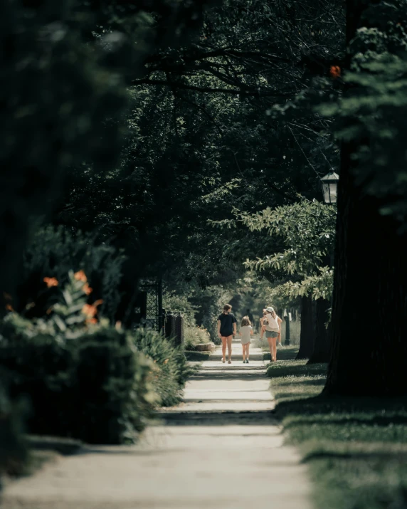 two women are walking down a tree lined walkway