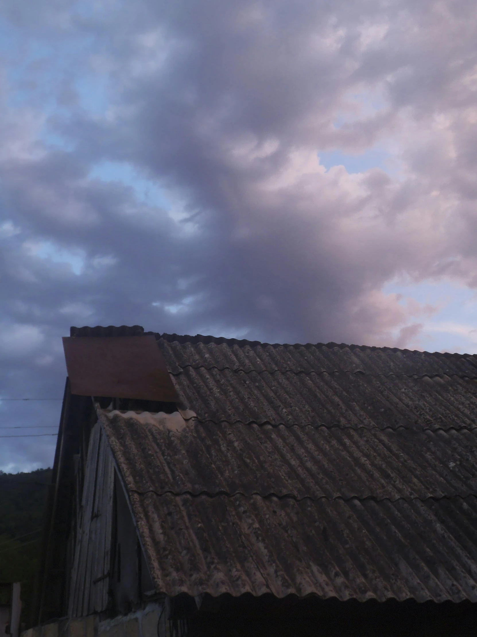 a bird sitting on the roof of a building