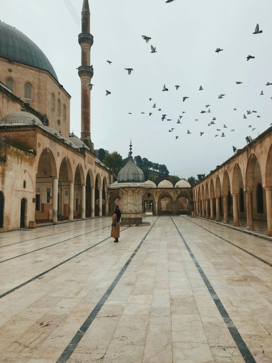 there are many birds flying over the walkways