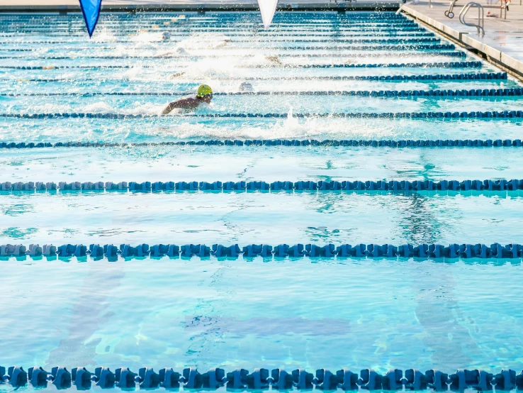 several swimmers practicing in the pool on some day