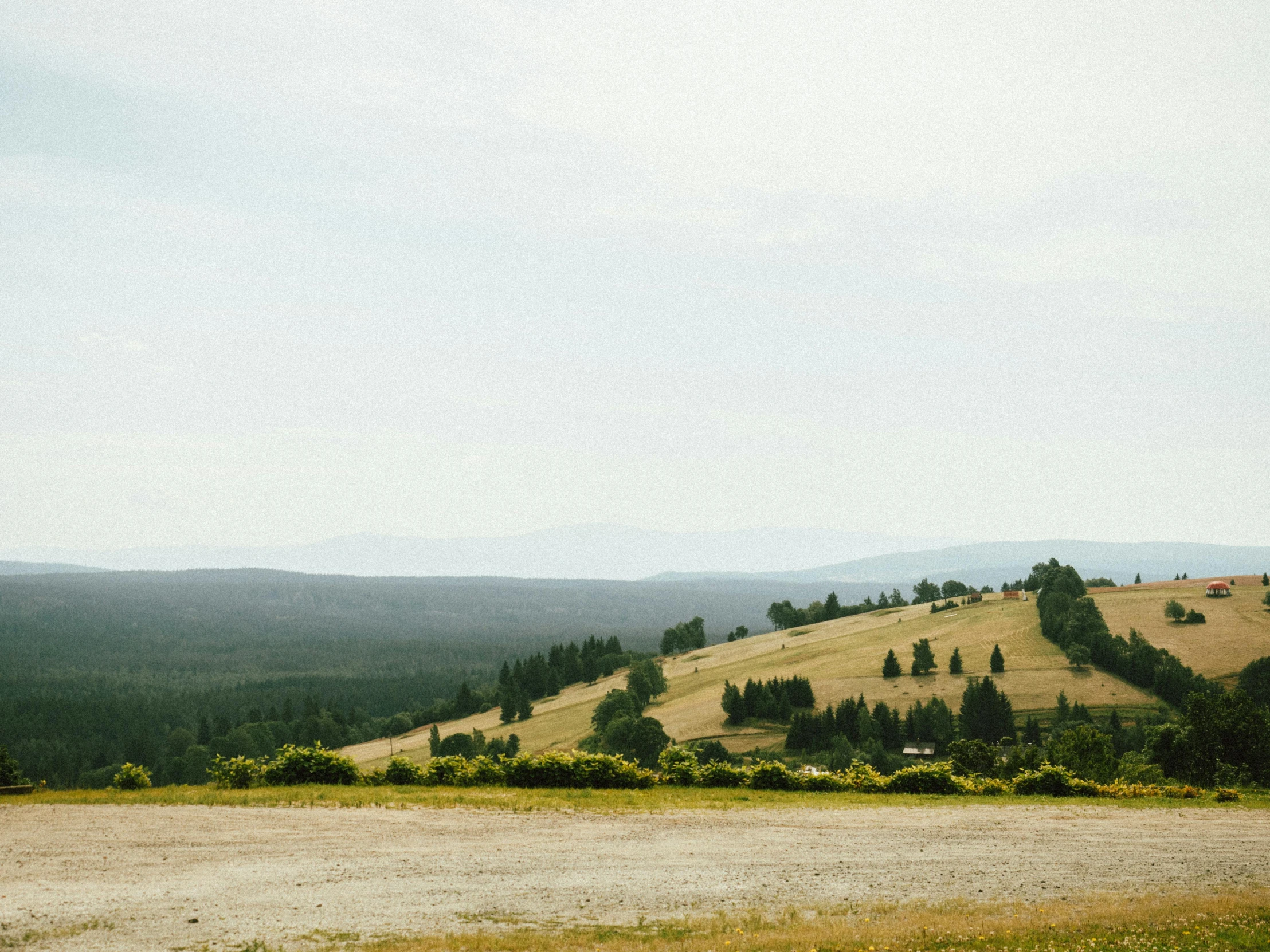 a green grassy field and mountain range in the distance