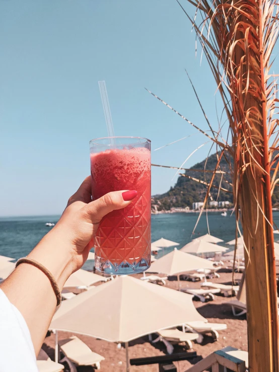 person holding up a glass with a beverage on it