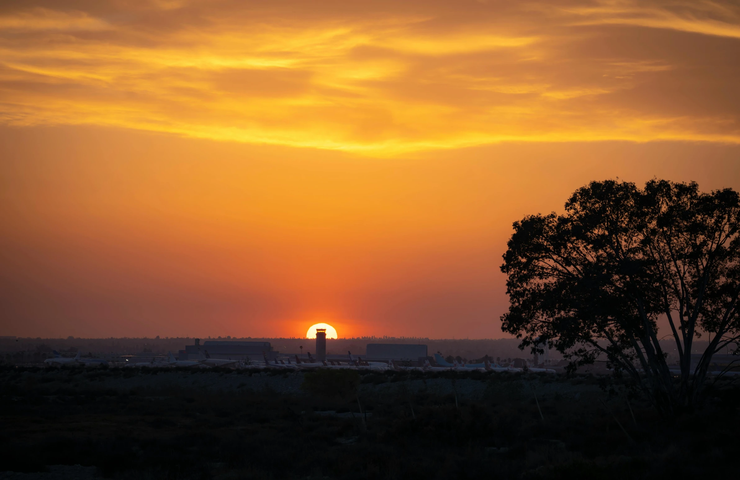 sunset over a field and some trees