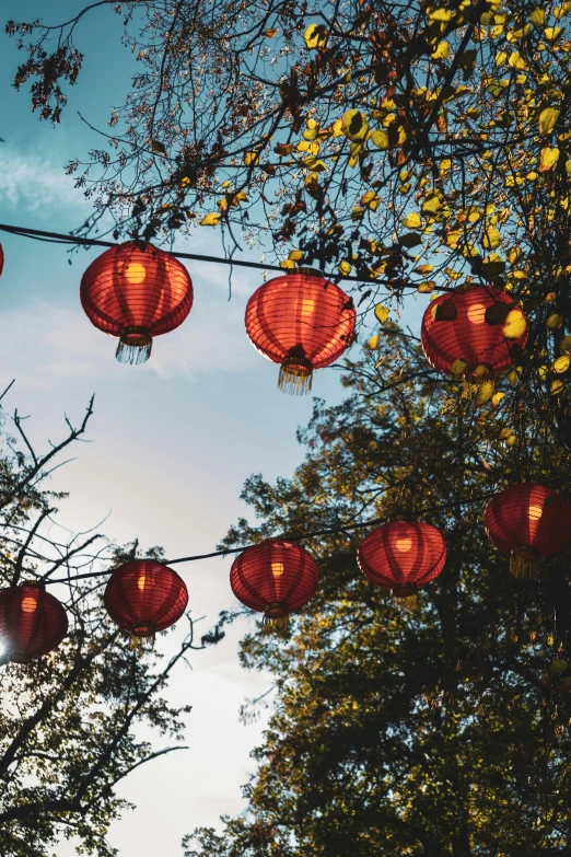 a tree with many red lanterns on it