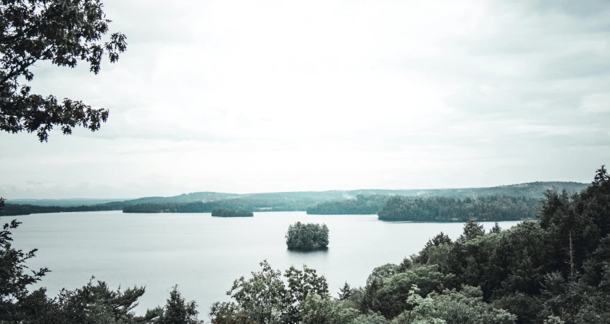 trees and water with trees by the shore