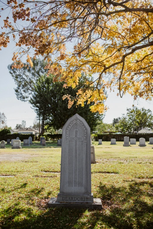 a small gravestone on the grassy ground in front of trees