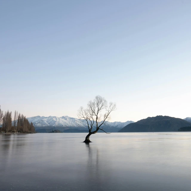 a tree is standing on an icy lake with mountains in the background