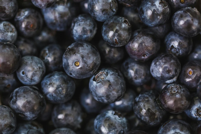 close up view of bunches of blueberries