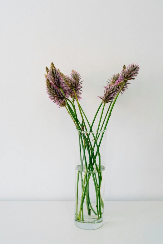 three small, pink flowers are in a glass vase