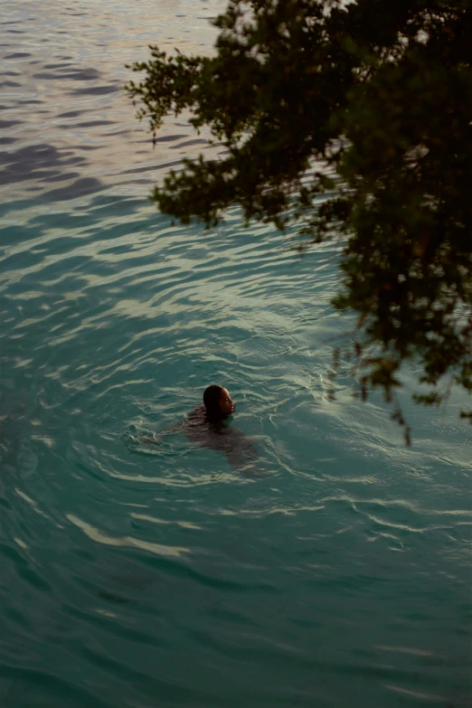 a person swimming through the water on top of the ocean