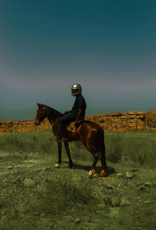 a person riding a horse in an open field