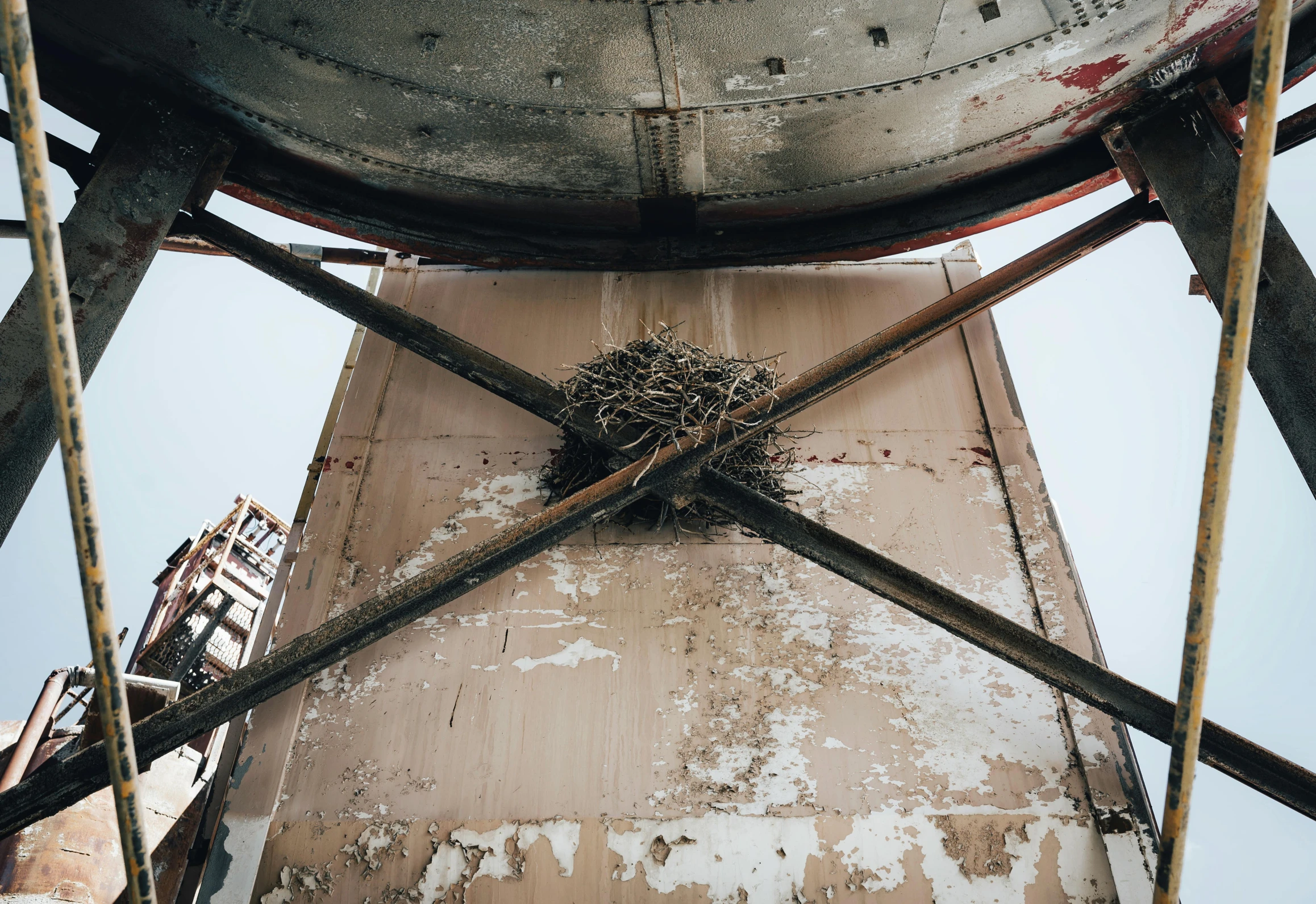 a bird nest is on top of a building