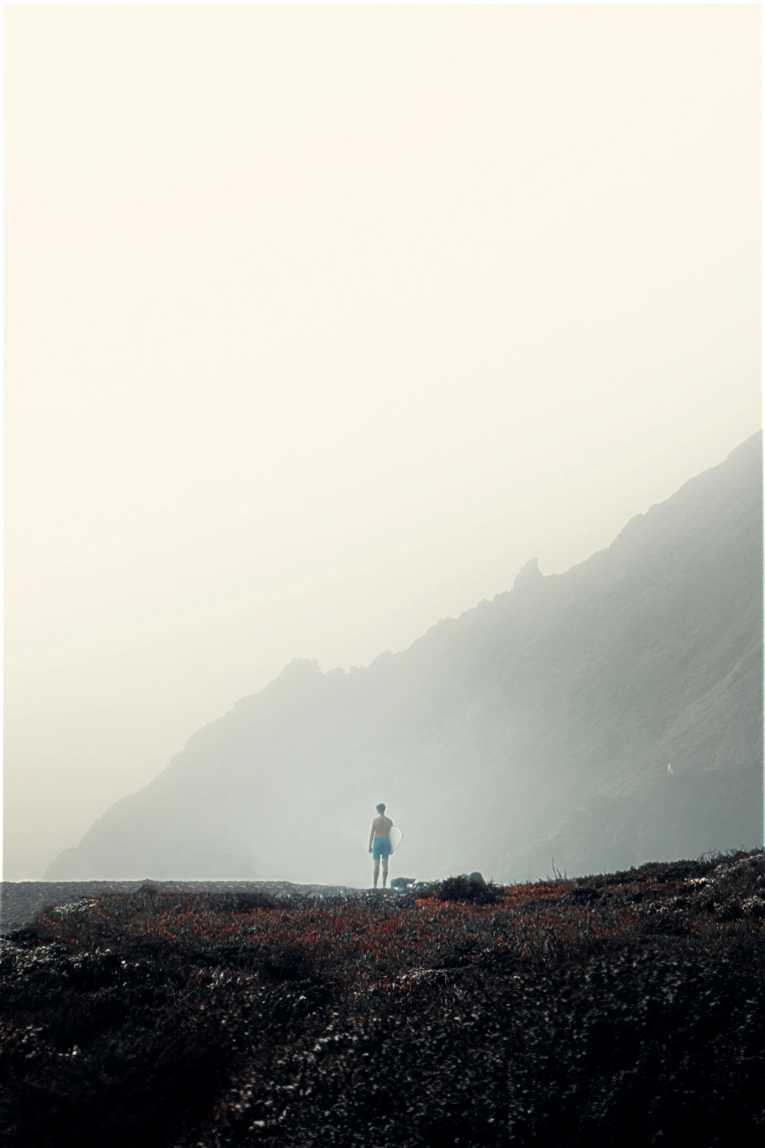 two people are standing on a grassy hill