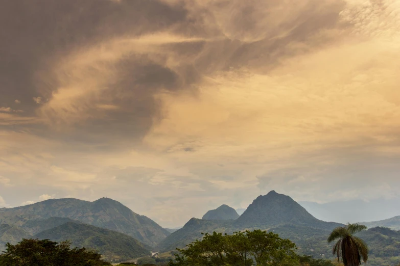 a tree is growing behind the mountain range