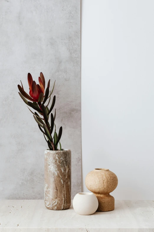 a vase with two round rocks in front of a plant